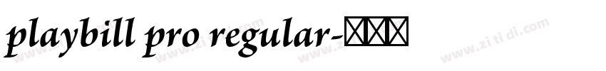 playbill pro regular字体转换